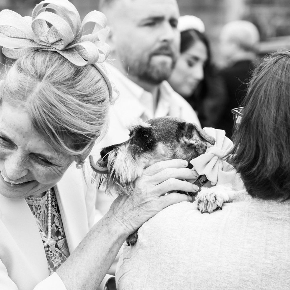 Sarah Ronan Wedding Photography belfast The Rabbit Templepatrick