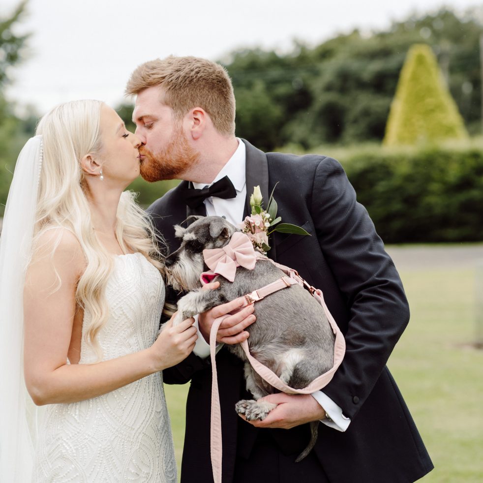 Sarah Ronan Wedding Photography belfast The Rabbit Templepatrick
